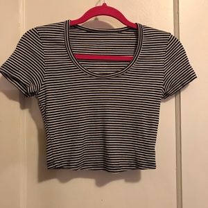 american apparel baby rib crop tee